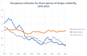 Simple plot of occupancy estimates for three species of Sargus soldierfly